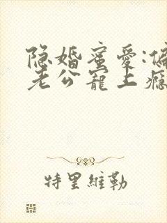 隐婚蜜爱:偏执老公宠上瘾下载txt