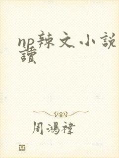np辣文小说阅读
