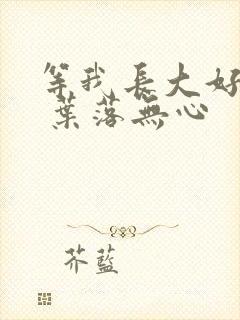 等我长大好不好 叶落无心