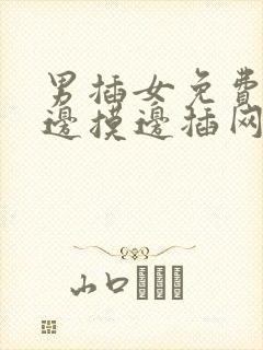 男插女免费视频边摸边插网站免费