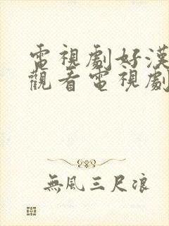 电视剧好汉在线观看电视剧高清