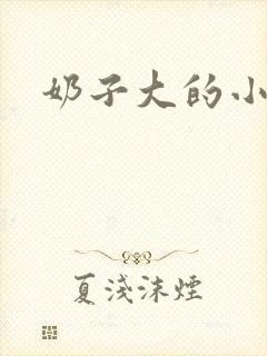 奶子大的小说封面