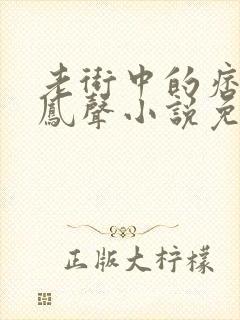 老街中的痞子赵凤声小说免费版