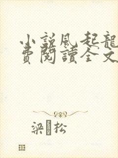 小说风起龙城免费阅读全文无窗口