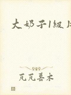 大奶子1级片.封面