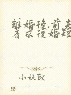 离婚后,前夫哭着求复婚短剧免费观看