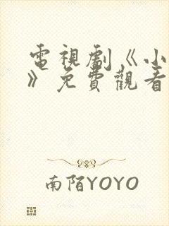 电视剧《小敏家》免费观看