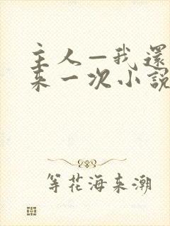 主人—我还想再来一次小说免费阅读