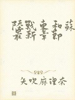 陆战东和苏灿的最新章节