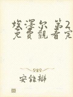 埃泽尔 第2季免费观看完整版