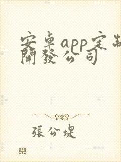 安卓app定制开发公司