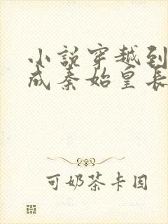 小说穿越到秦朝成秦始皇长子封面