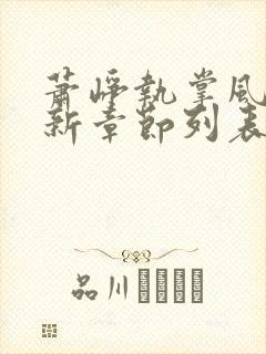 萧峥执掌风云最新章节列表封面