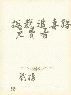 总裁追妻路漫漫 免费看封面