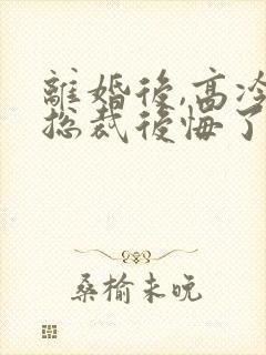 离婚后,高冷女总裁后悔了的