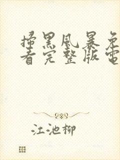 扫黑风暴免费观看完整版电视剧下载