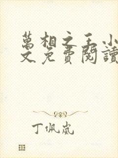 万相之王小说全文免费阅读未删减封面