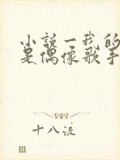 小说一我的房东是偶像歌手