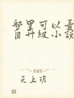 哪里可以看我独自升级小说