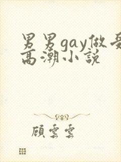 男男gay做受高潮小说封面