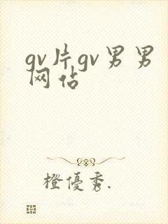 gv片gv男男网站
