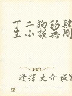 丁二狗的肆意人生小说无删减全文阅读