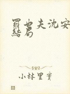 罗也夫沈安茹大结局