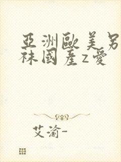 亚洲欧美另类丝袜国产z爱封面