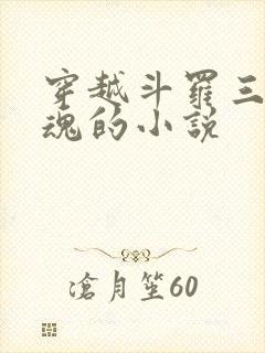 穿越斗罗三生武魂的小说封面