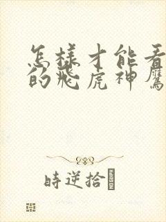 怎样才能看完整的飞虎神鹰电视剧全集