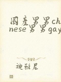 国产男男chinese男男gaygay网站