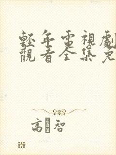 轻年电视剧在线观看全集免费28封面