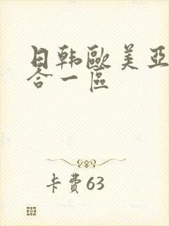 日韩欧美亚洲综合一区