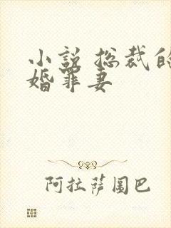 小说 总裁的新婚罪妻