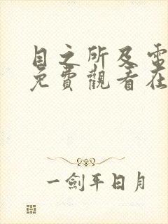 目之所及电视剧免费观看在线观看封面