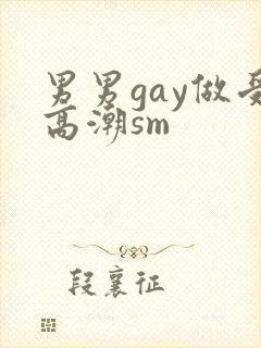 男男gay做受高潮sm