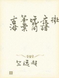 古筝晚夜微雨问海棠简谱