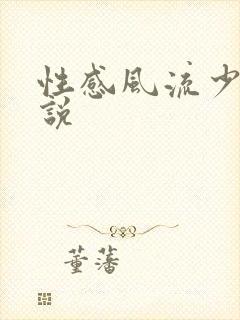 性感风流少妇小说