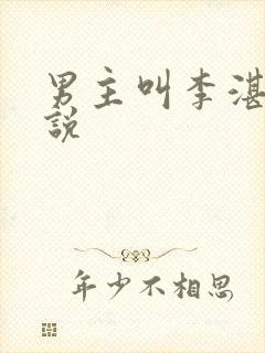 男主叫李湛的小说