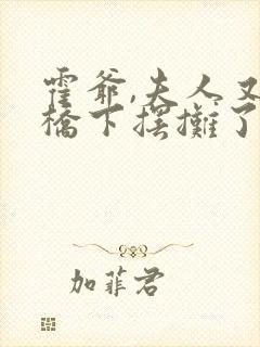 霍爷,夫人又去桥下摆摊了