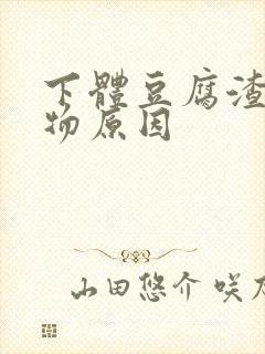 下体豆腐渣分泌物原因