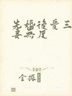 先婚后爱三少宠妻无度