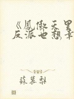 《凤傲天里黄毛反派也想幸福》小说