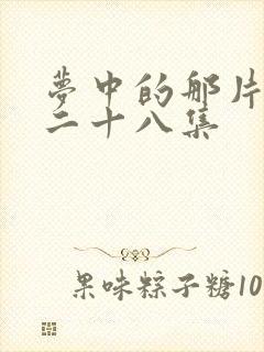 梦中的那片海第二十八集