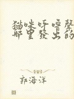 猫咪呼噜声是从哪里发出的