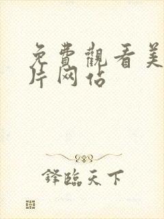 免费观看美剧大片网站