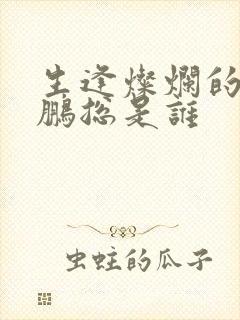 生逢灿烂的日子鹏总是谁