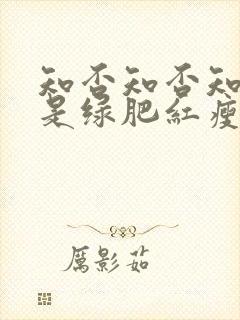 知否知否知否应是绿肥红瘦高清封面