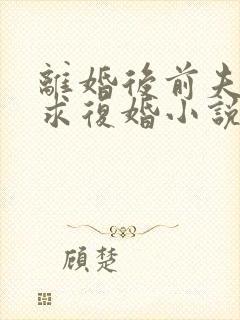 离婚后前夫哭着求复婚小说无弹窗封面