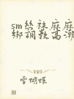 sm丝袜麻麻捆绑调教高潮